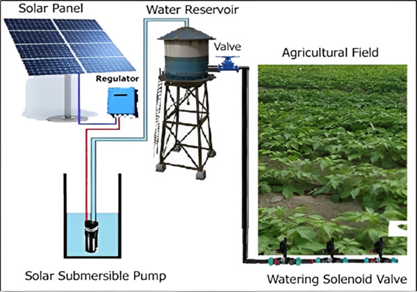 Awadh Green Energy Solutions Solar Pump Installation